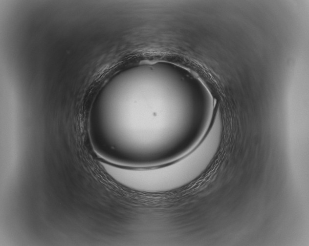 X0000116891157200912221448