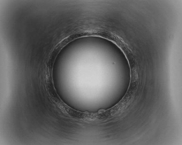 X0000116891158200912221448