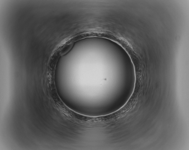 X0000116891159200912221448