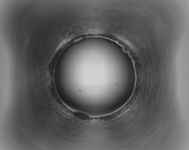 X0000116891160200912221448