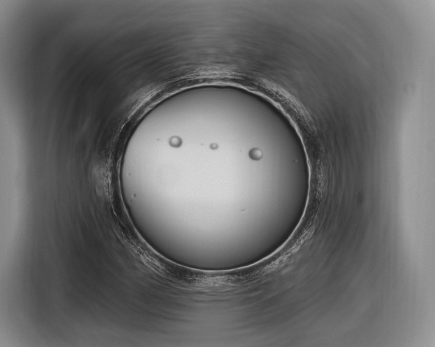X0000116891162200912221447