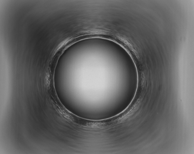 X0000116891163200912221447
