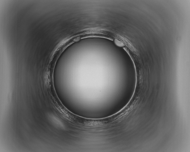 X0000116891164200912221447