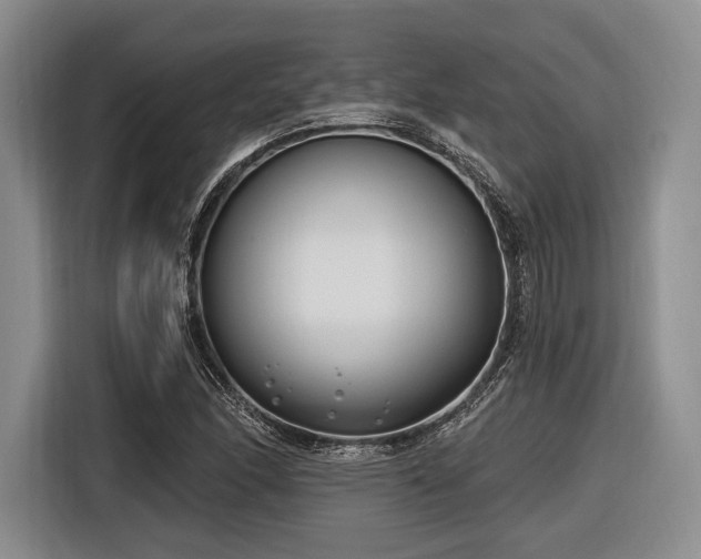 X0000116891166200912221447
