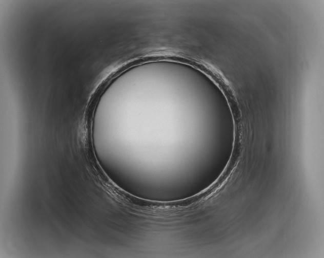X0000116891167200912221447
