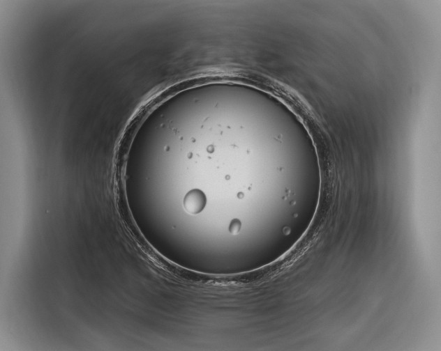 X0000116891168200912221447