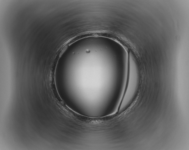 X0000116891169200912221447