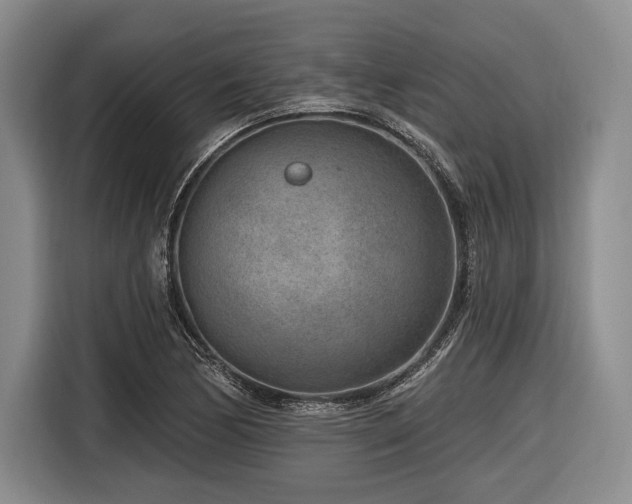 X0000116891170200912221447