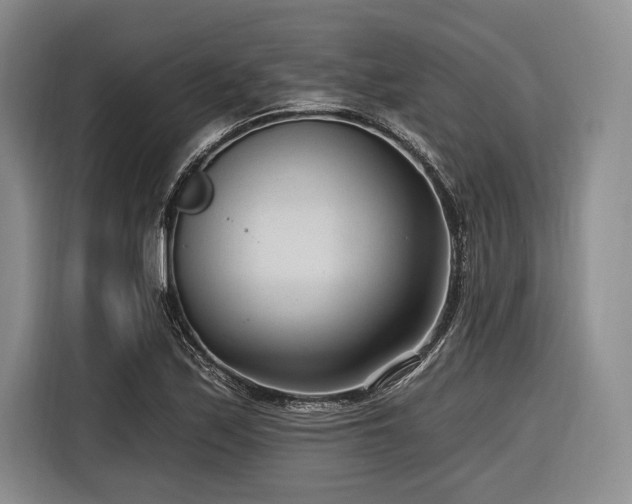 X0000116891171200912221447