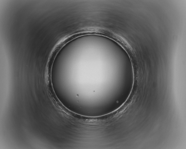 X0000116891172200912221447