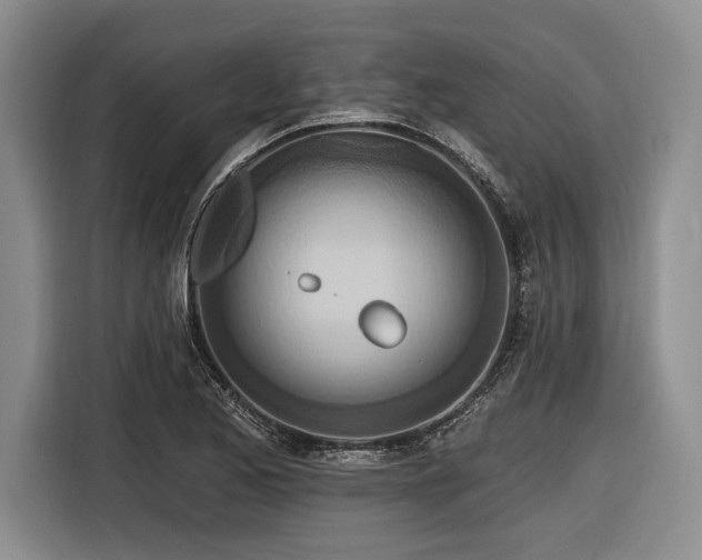 X0000116891173200912221447