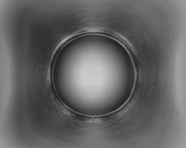 X0000116891174200912221447