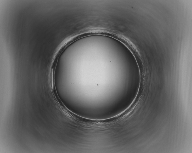X0000116891175200912221447