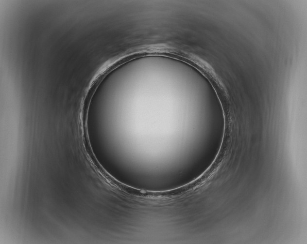 X0000116891176200912221447