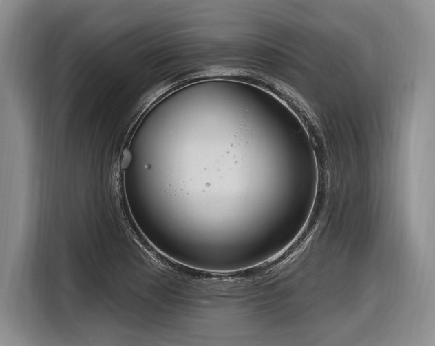 X0000116891177200912221447