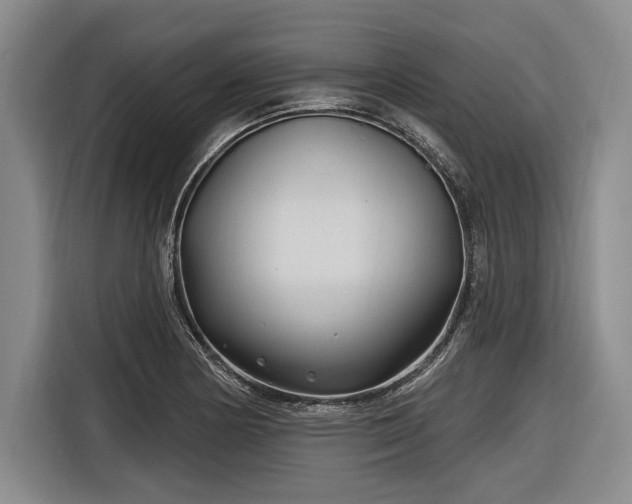 X0000116891178200912221447
