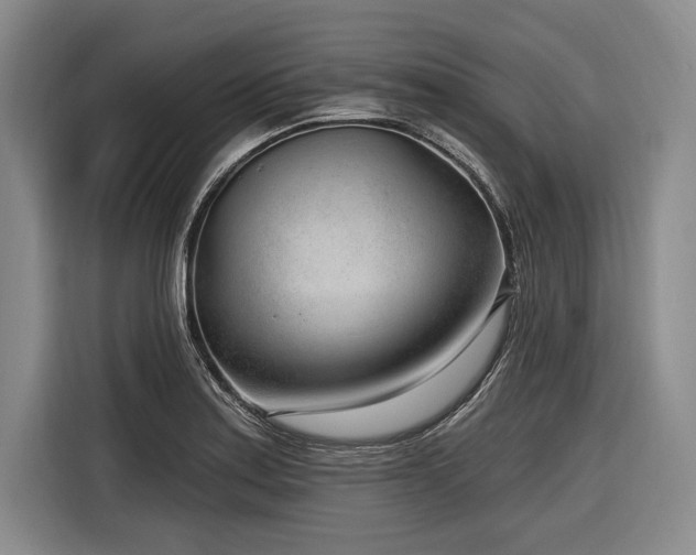 X0000116891179200912221447