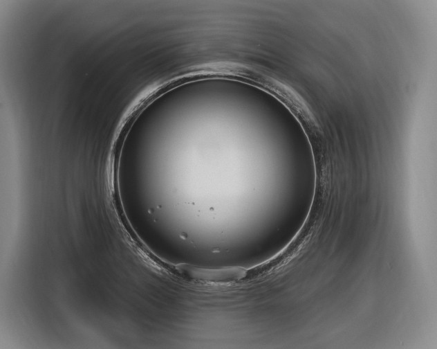 X0000116891180200912221447