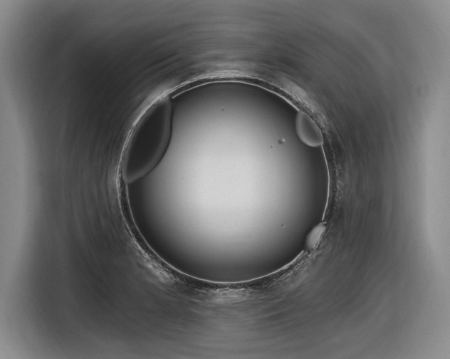 X0000116891181200912221447