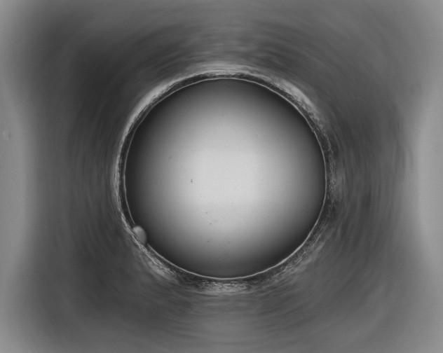 X0000116891183200912221447