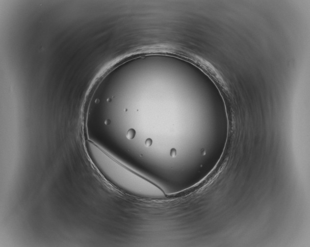 X0000116891184200912221447