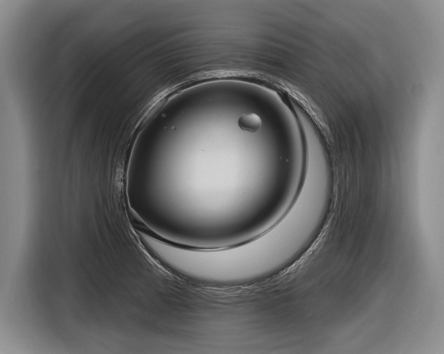 X0000116891185200912221447