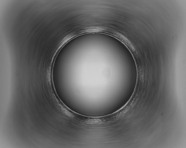 X0000116891186200912221447