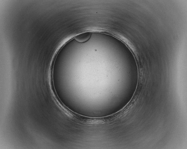 X0000116891187200912221447
