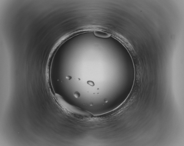X0000116891188200912221447