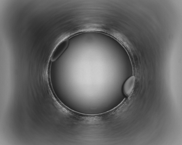 X0000116891189200912221447