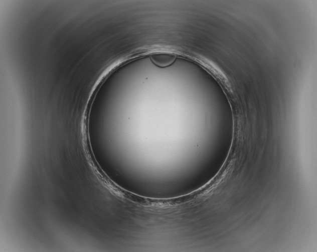 X0000116891190200912221447