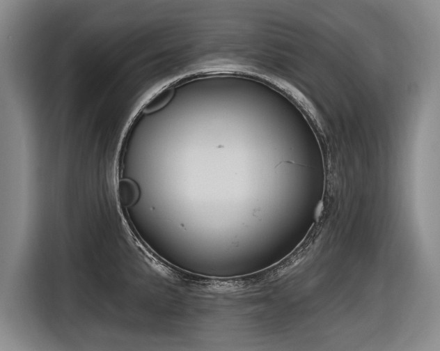X0000116891191200912221447