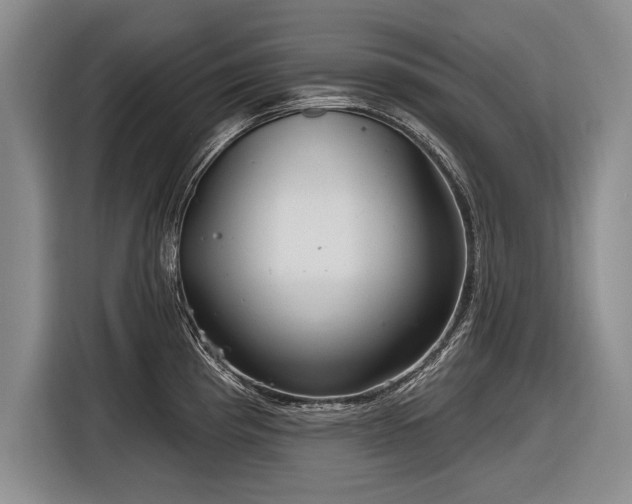 X0000116891193200912221447