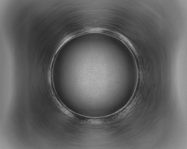 X0000116891194200912221447