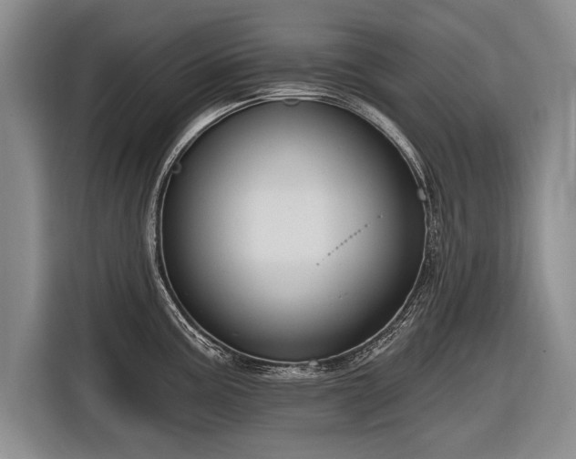 X0000116891195200912221447