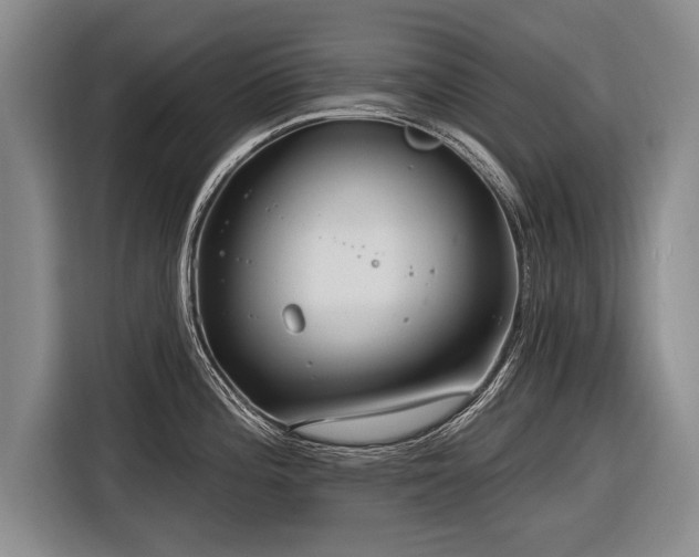 X0000116891196200912221447