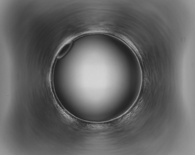 X0000116891197200912221447