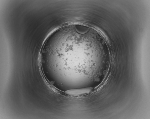 X0000116891198200912221447