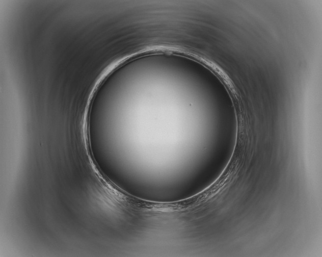 X0000116891199200912221447