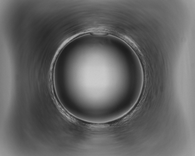 X0000116891200200912221447