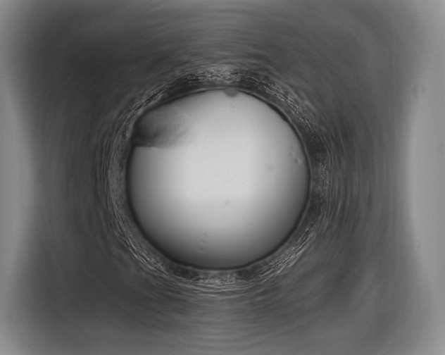 X0000116891201200912221446