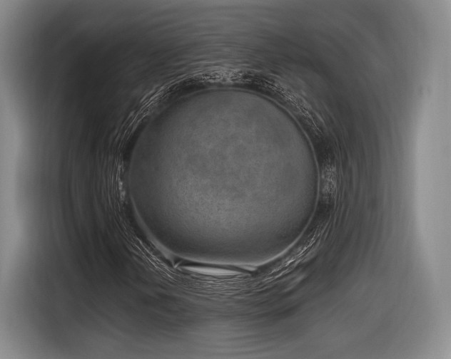 X0000116891202200912221446