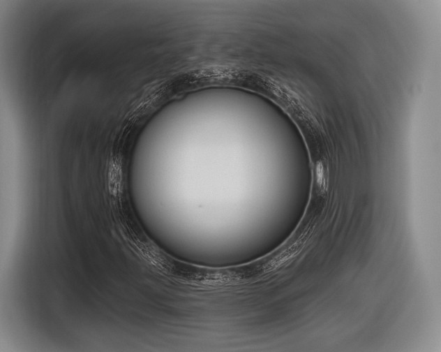 X0000116891203200912221446