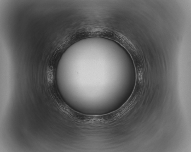 X0000116891204200912221446