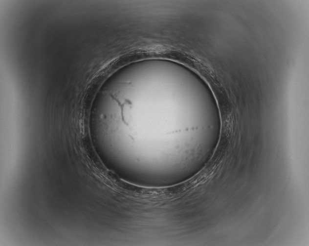 X0000116891205200912221446