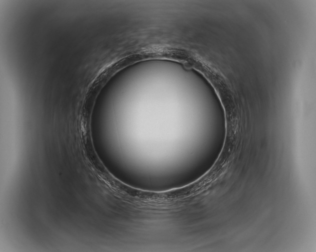 X0000116891206200912221446