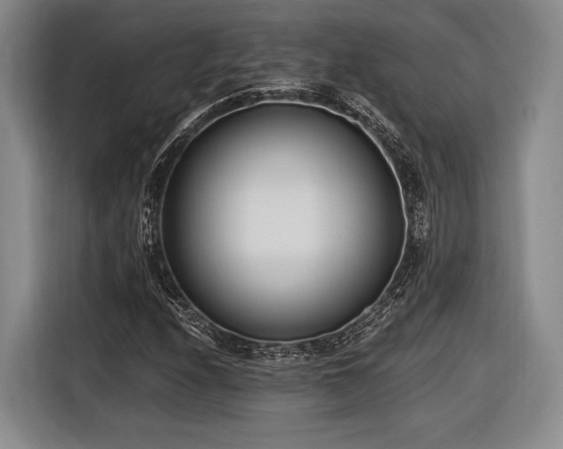 X0000116891208200912221446