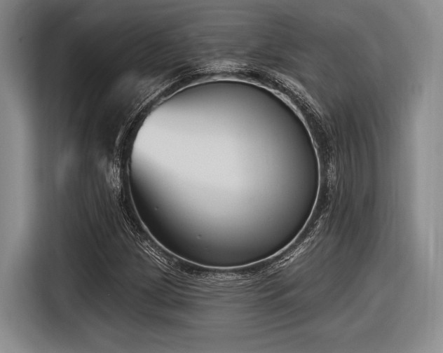 X0000116891209200912221446