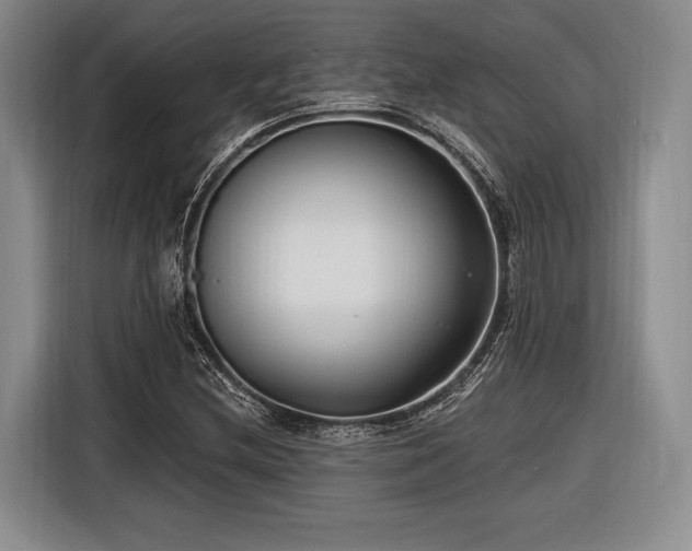X0000116891212200912221447