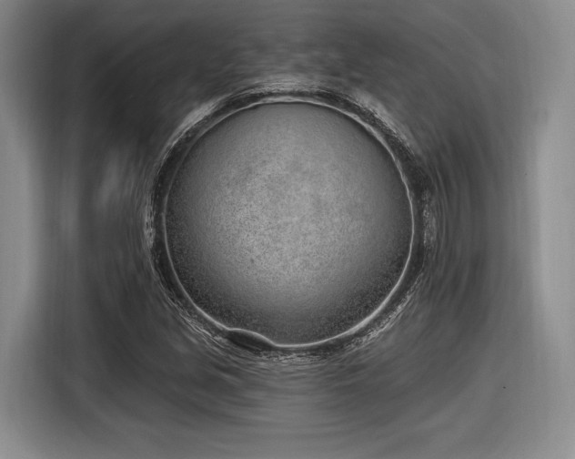 X0000116891213200912221447
